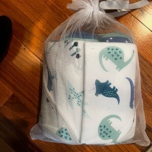 Cloud Island Hooded Towels and Washcloths Set